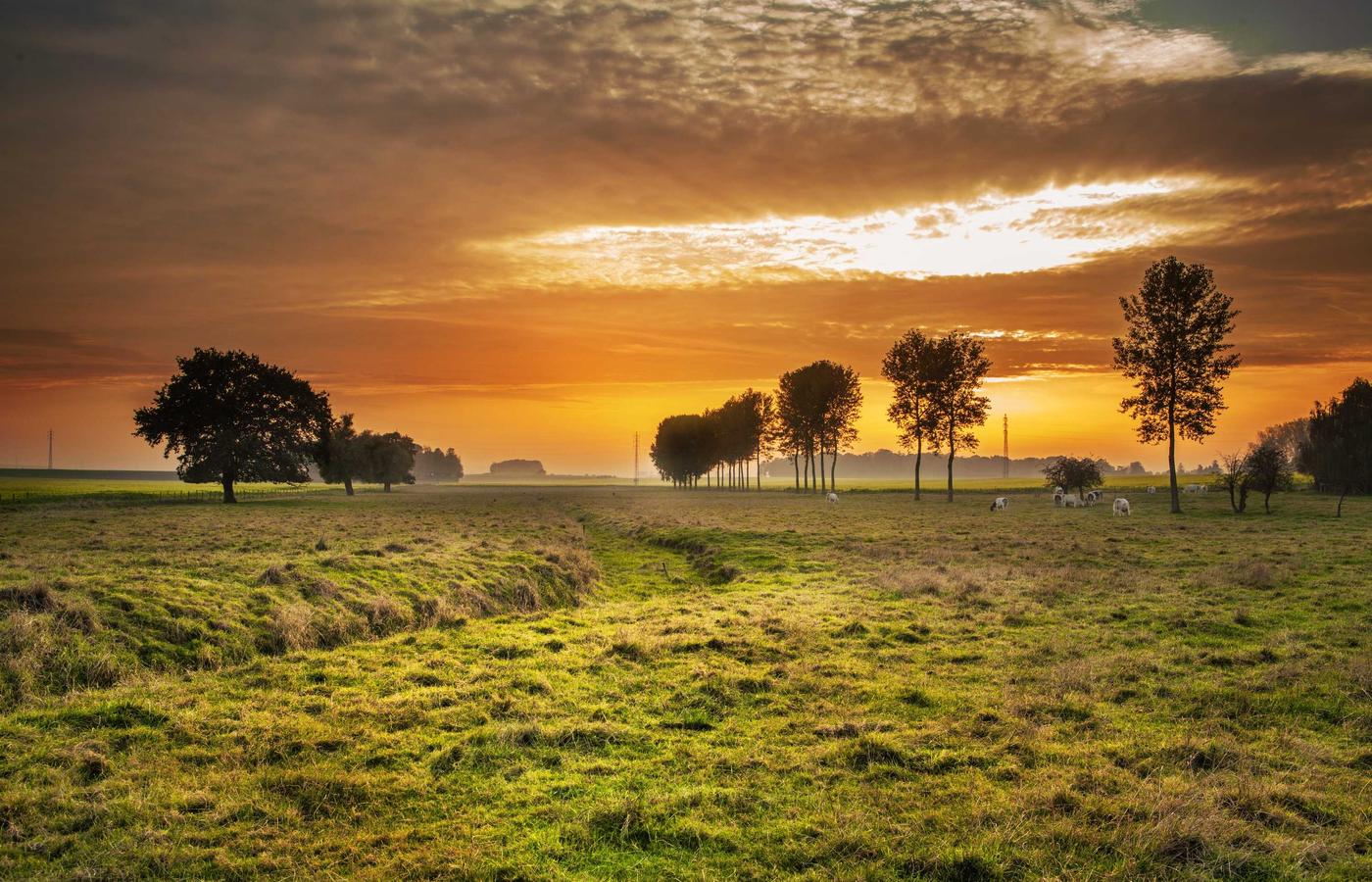 Мадина Асқарова